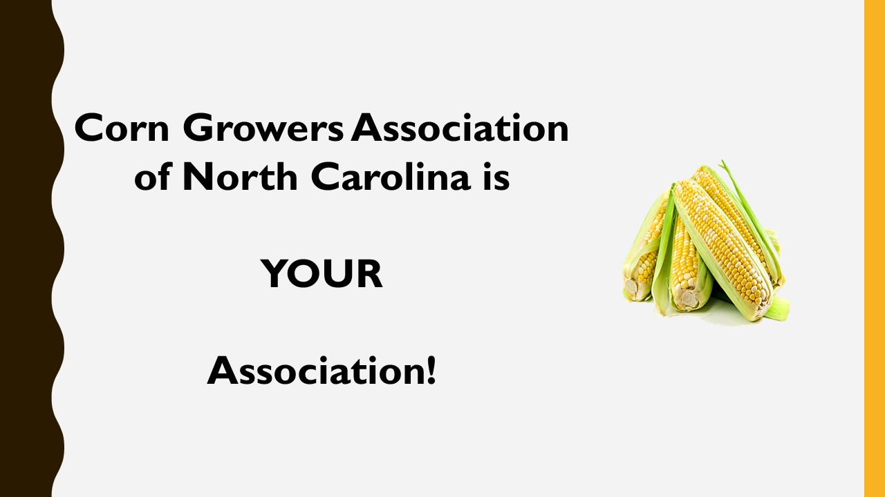 NC Corn Growers Association