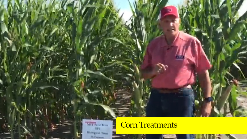 Dr. Ron Heiniger - Corn Treatments